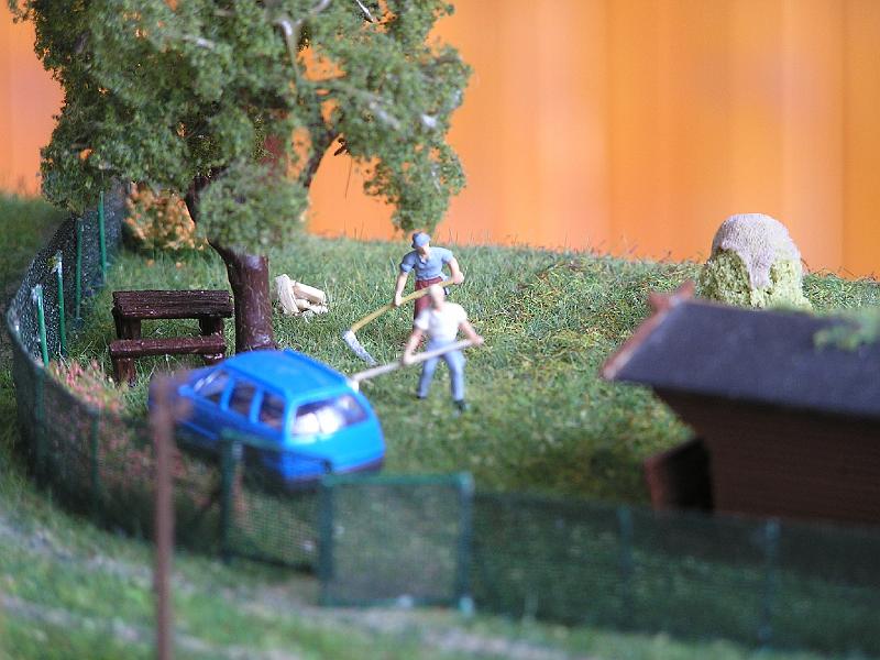 P9060698.JPG